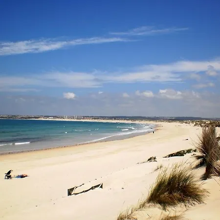 Beach - Dunes *